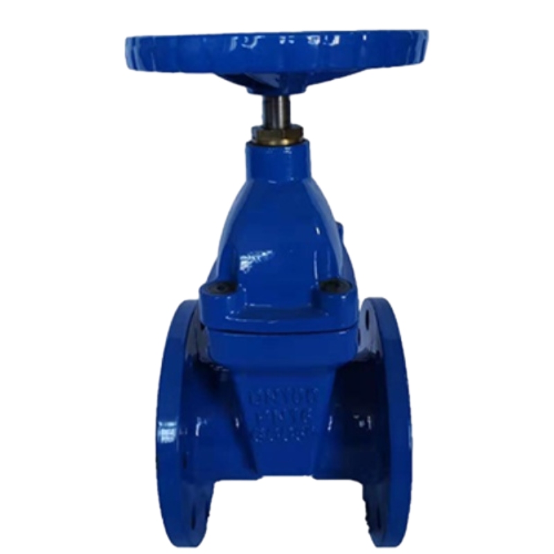 Soft Seal Gate Valve-my