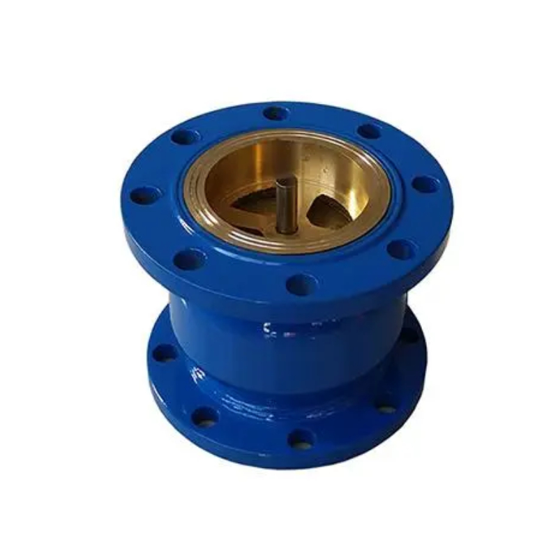 Solcing Check Valve