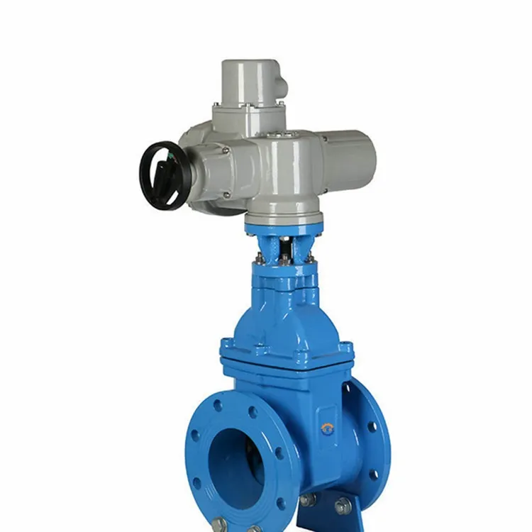 လျှပ်စစ်ပျော့ပျောင်းသော seal gate valve